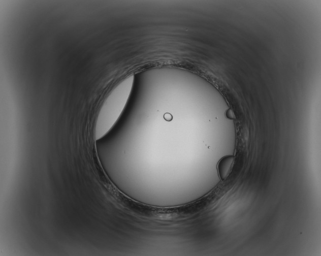 X0000086730746200704130746