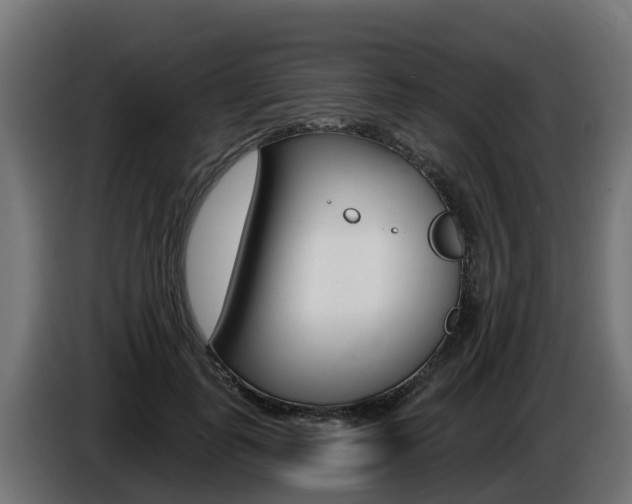 X0000086730747200704130746
