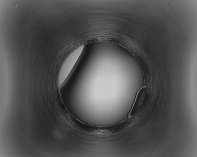 X0000086730748200704130746