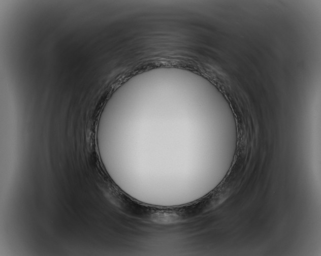 X0000086730749200704130746