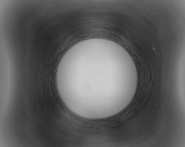 X0000086730750200704130746