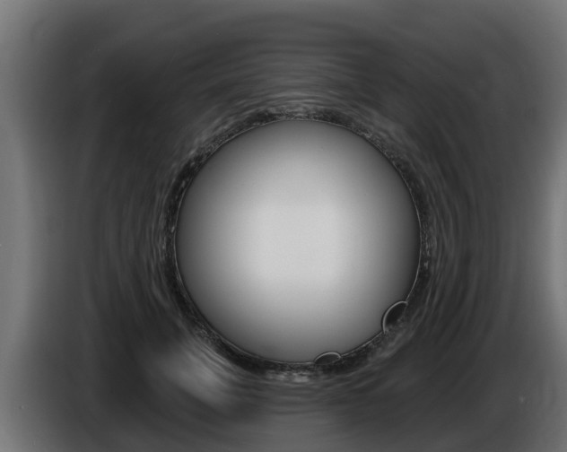 X0000086730751200704130746