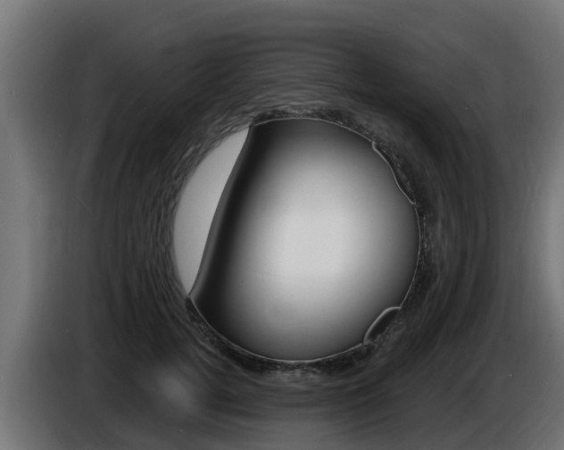 X0000086730752200704130746