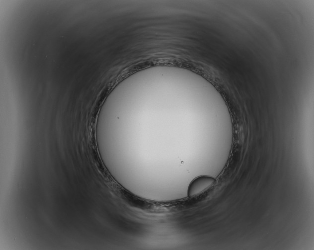 X0000086730753200704130746