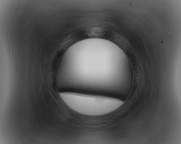 X0000086730755200704130746