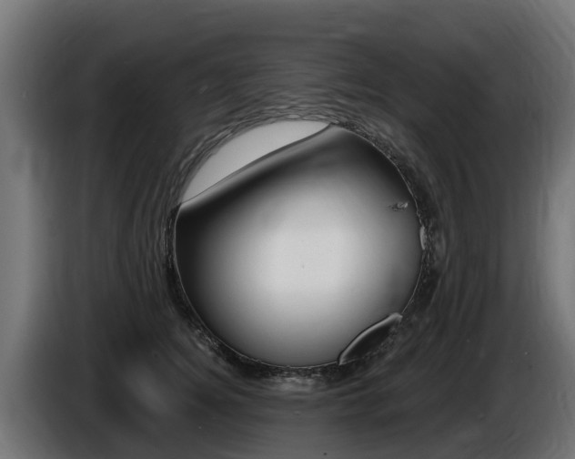 X0000086730756200704130746