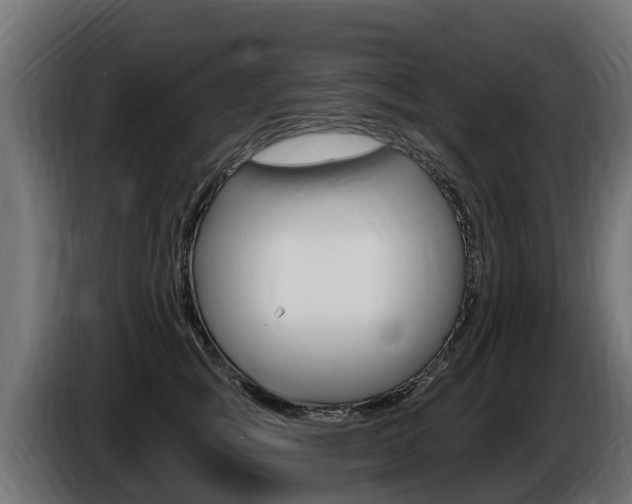 X0000086730757200704130746
