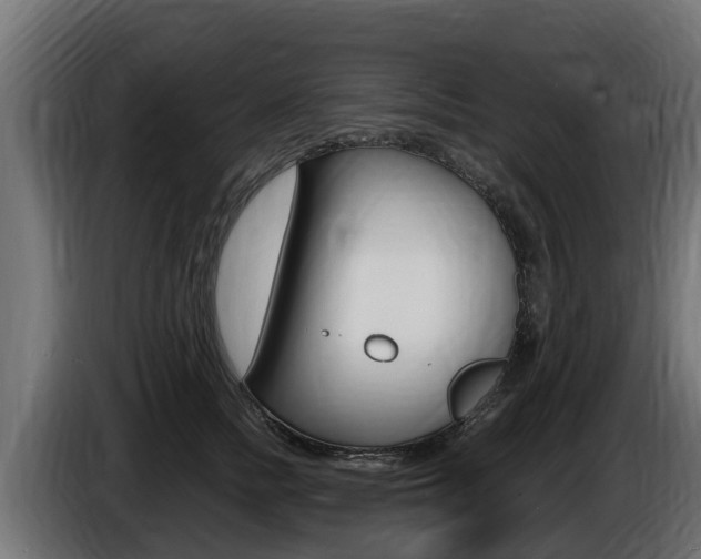 X0000086730758200704130746