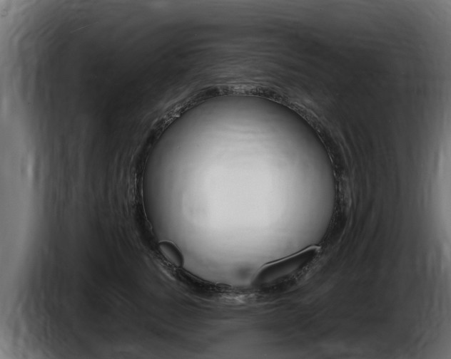 X0000086730760200704130746