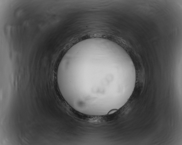 X0000086730761200704130746