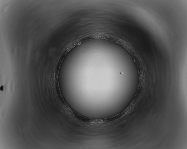 X0000086730762200704130746