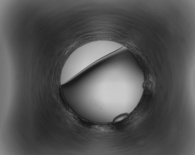 X0000086730763200704130746