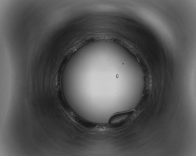 X0000086730764200704130746
