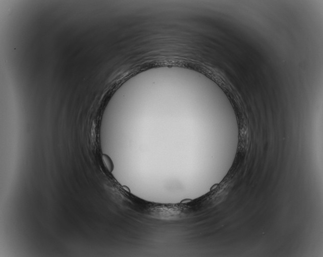 X0000086730765200704130746