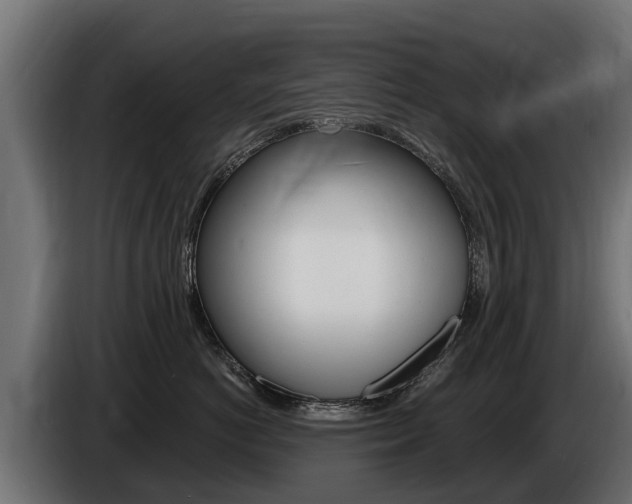 X0000086730766200704130746