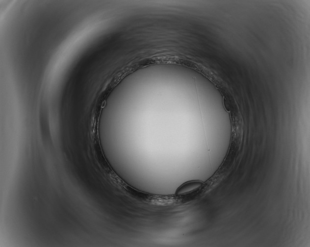 X0000086730767200704130746