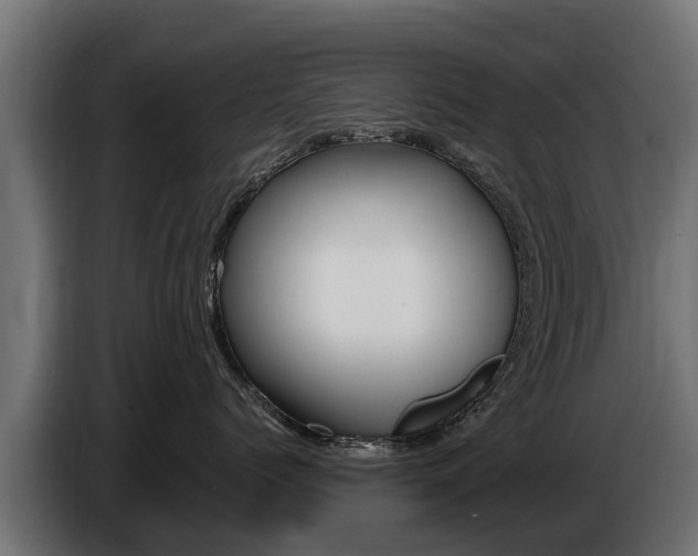 X0000086730768200704130746