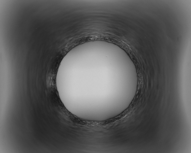 X0000086730770200704130746