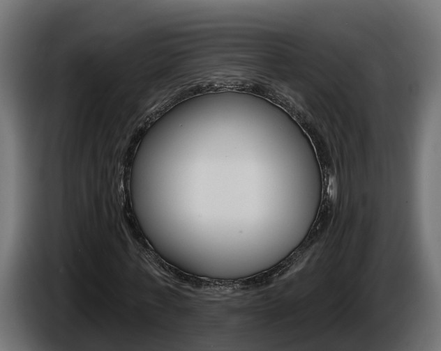 X0000086730771200704130746