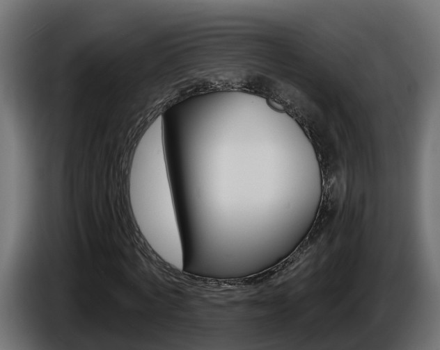 X0000086730772200704130746