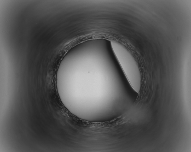 X0000086730773200704130746