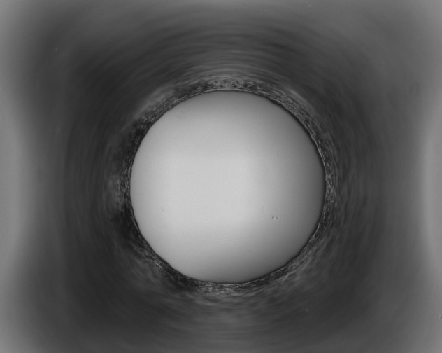 X0000086730774200704130746
