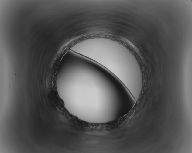 X0000086730775200704130746