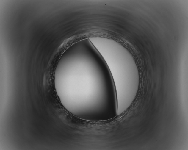 X0000086730776200704130746