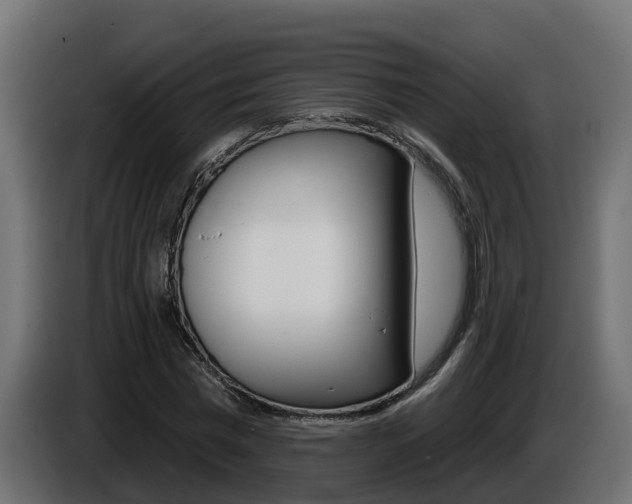 X0000086730777200704130746
