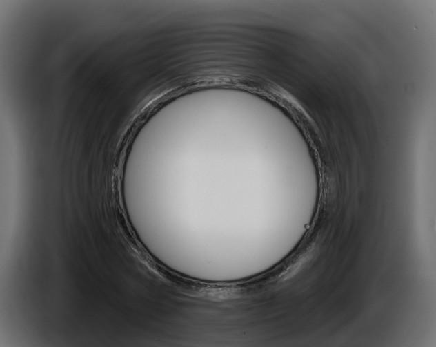X0000086730778200704130746