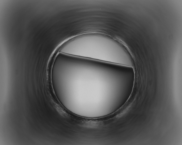 X0000086730779200704130746