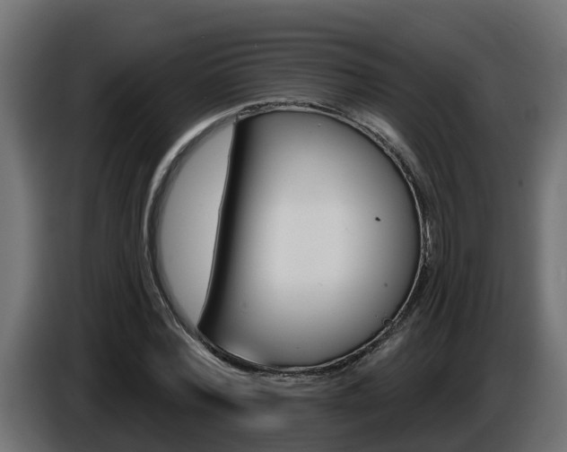X0000086730780200704130746