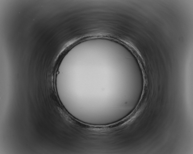 X0000086730781200704130746