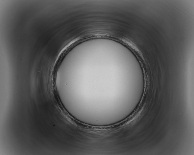 X0000086730782200704130746