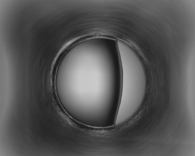 X0000086730784200704130746