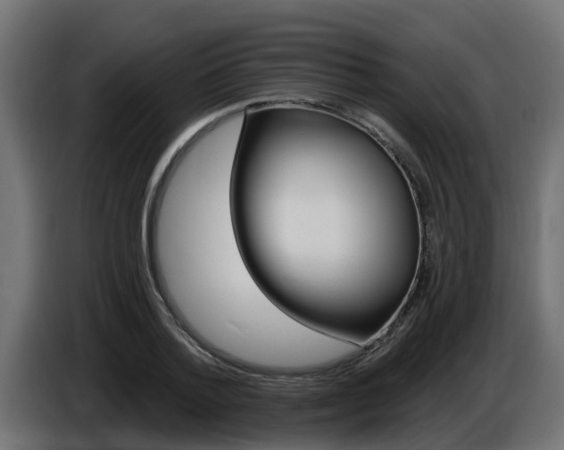 X0000086730788200704130746