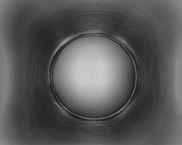 X0000086730789200704130746