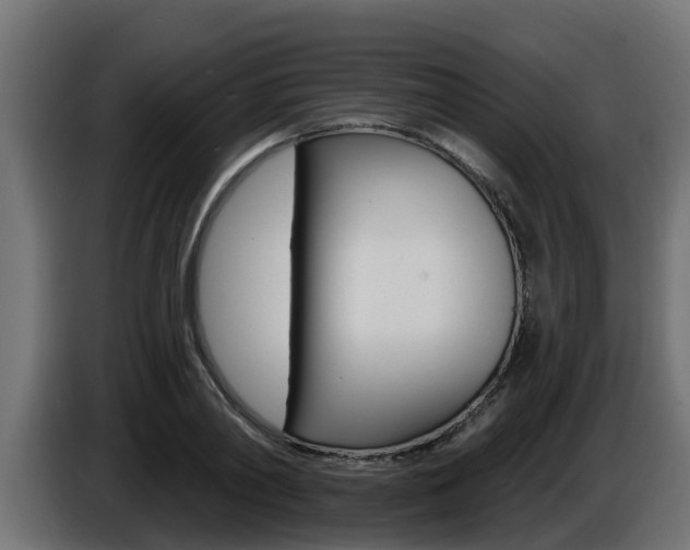 X0000086730790200704130745