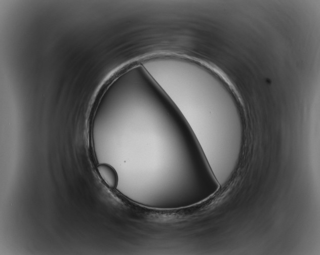 X0000086730791200704130745