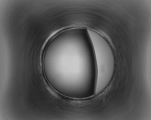 X0000086730792200704130745