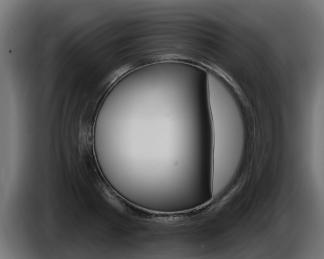 X0000086730793200704130745
