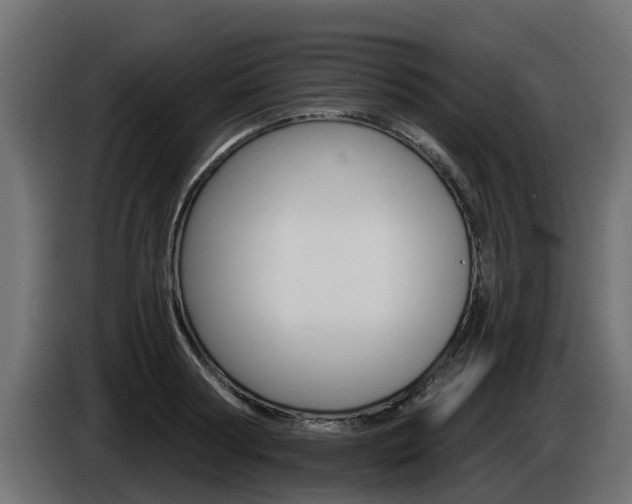 X0000086730794200704130745