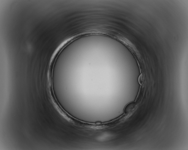 X0000086730796200704130745
