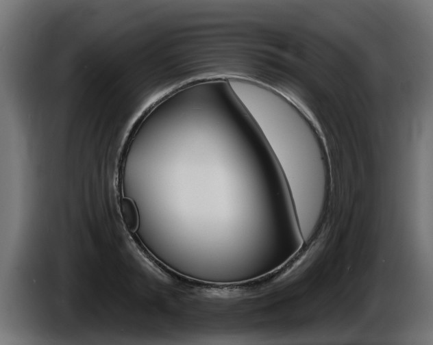 X0000086730797200704130745