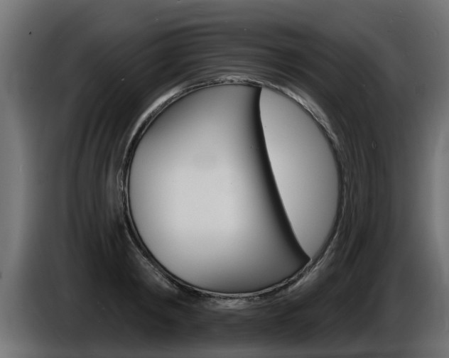 X0000086730798200704130745