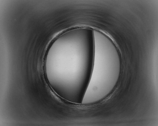 X0000086730799200704130745