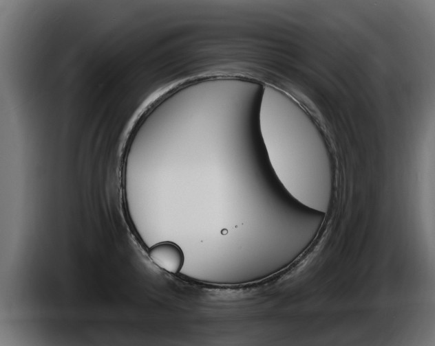 X0000086730800200704130745