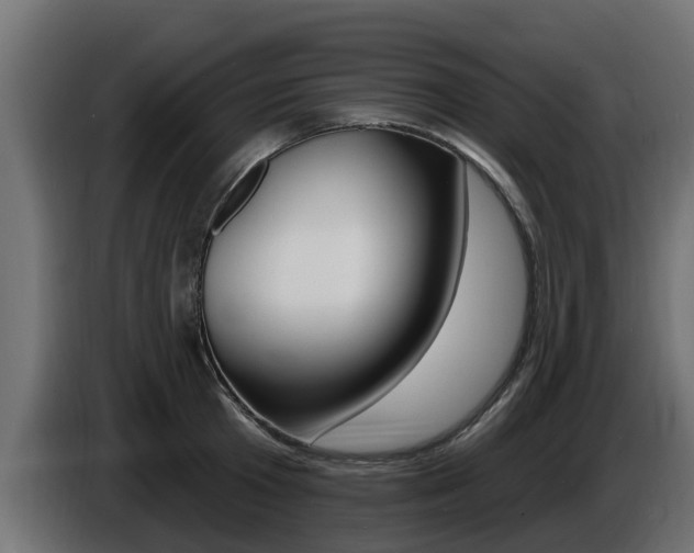 X0000086730801200704130745