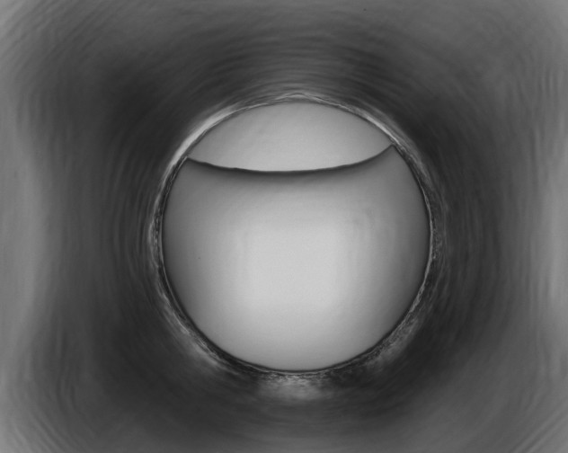 X0000086730806200704130745