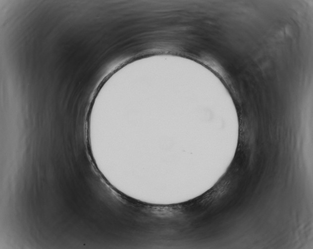 X0000086730807200704130745